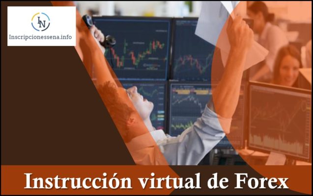 instrucción virtual de Forex